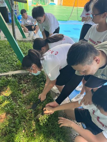 感恩栽種，心意綻放 ── 花藝種植班圓滿落幕（小學） - 7